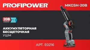 Аккумуляторная бесщёточная УШМ PROFIPOWER MKGSH-20B Арт.: E0216