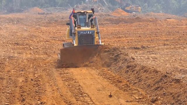Part2# Amazing! The Shantui DH17 Dozer Was Used To Expand The Forest Area, Which Is Quite Impressive