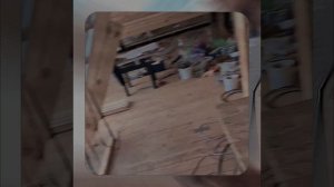 1000057198.mp4 (Собака наблюдает за устройством лестницы на 2-ой этаж в доме А-фрейм)