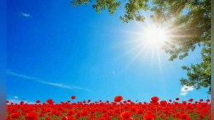 Встречаем Священный праздник