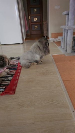 Уже подстриглась к лету, а похолодало🤩