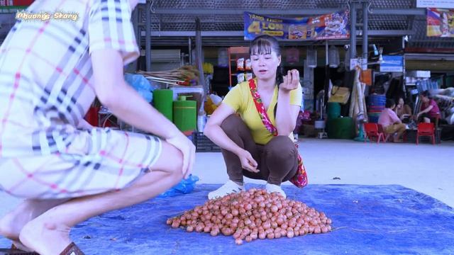 [TIMELAPSE] Harvsting A Lot Of Dragon Fruit, Jackfruit, Use Truck Transport Go To Market Sell