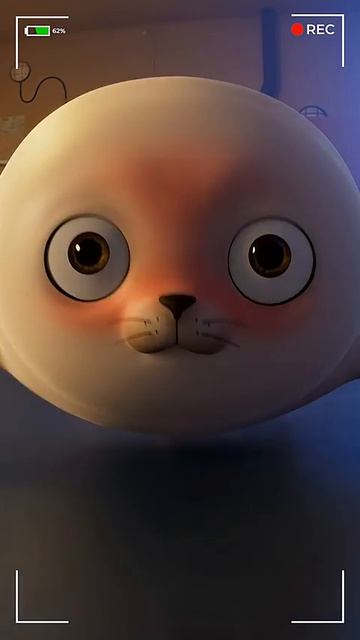 Baby Seal Observation Cam #shorts