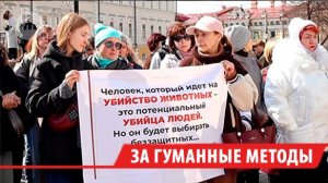 Митинг против умерщвления бездомных животных прошёл в Иркутске