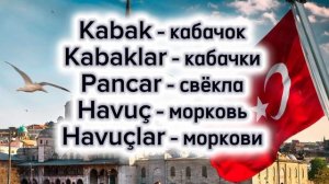 Овощи на турецком языке 🇹🇷💙 уроки турецкого языка 💙