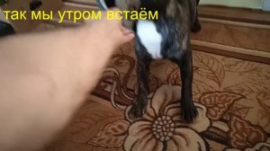 14.04.07.15.как мы утром встаём на работу