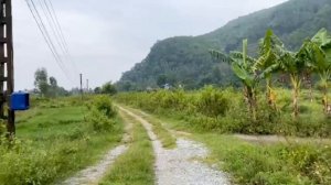 Как в странах Юго-Восточной Азии договариваются и покупают маленьких обезьянок.   1000046887.mp4