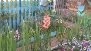 Красная Поляна