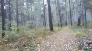 Большая утрата😥😥😥/архив/