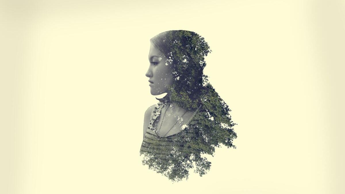 Пресс-конференция