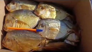 Рыба Луна (Вомер) холодного копчения