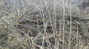 АПРЕЛЬ💥     РАБОТА В ОГОРОДЕ 💥   ПОДПИШИСЬ💯