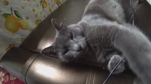 Влог от 24.08.2022