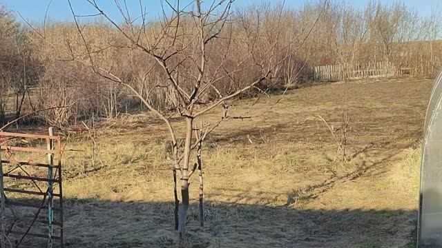 Вести с полей. Открытие сезона 2026 апрель