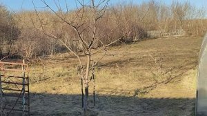 Вести с полей. Открытие сезона 2026 апрель