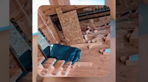 1000057206.mp4 (Собака наблюдает за устройством лестницы на 2-ой этаж в доме А-фрейм)