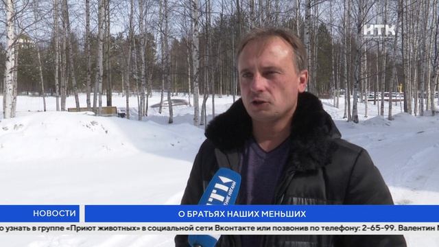 О братьях наших меньших