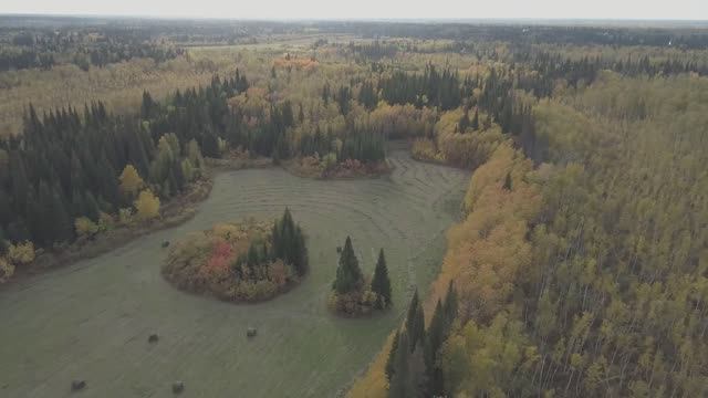 КОРОЛЕВСКАЯ ОХОТА И РЫБАЛКА