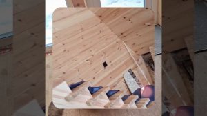 1000057207.mp4 (Собака наблюдает за устройством лестницы на 2-ой этаж в доме А-фрейм)