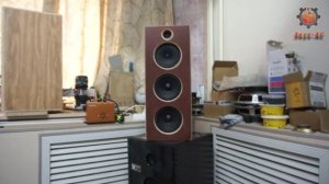 Акустика 5Е-АС-50 Тестовая запись как звучит самоделка