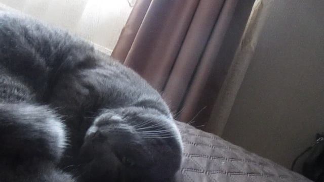 MVI_0739  28.04.2026