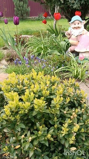 Весенний сад! 2026г