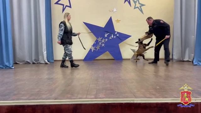 Кинологи  УМВД встретились с  школьниками города Камешково и Владимирскими студентами