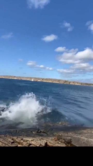 Что-то пошло не так