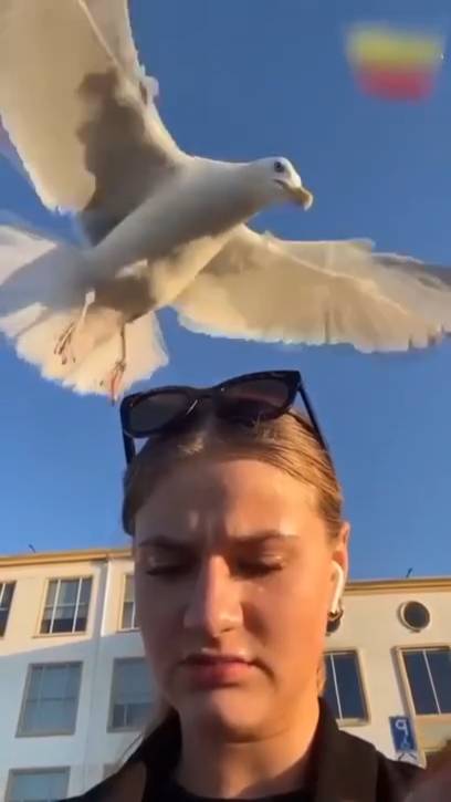 Невероятная талия