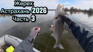 Ловля жереха на кренки в Астрахани. Долгожданная рыбалка 2026! Часть 3.