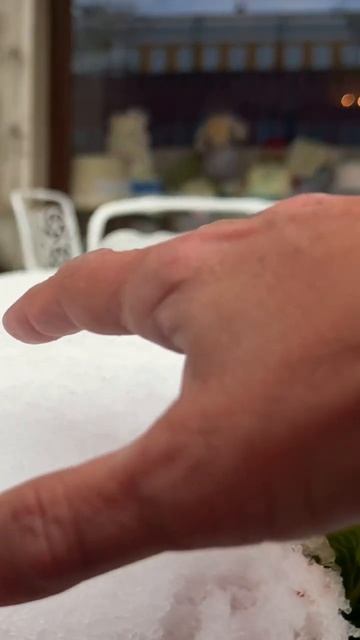 Москва 27.04.26 Снегопад