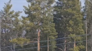 2. Гора Мраткино (806 метров). 28 марта 2026 года.