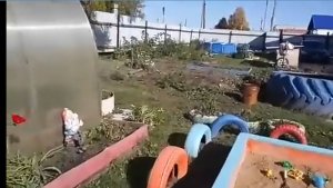 Дела домашние🙂 архив