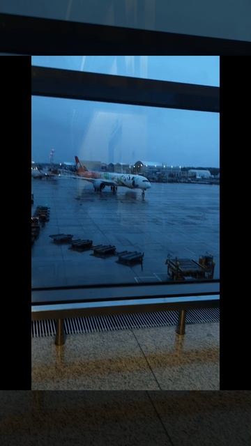 аэропорт Шереметьево