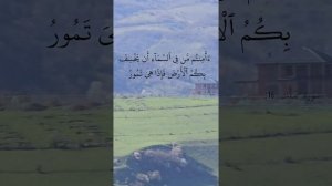 Прекрасное чтение 📚 Корана