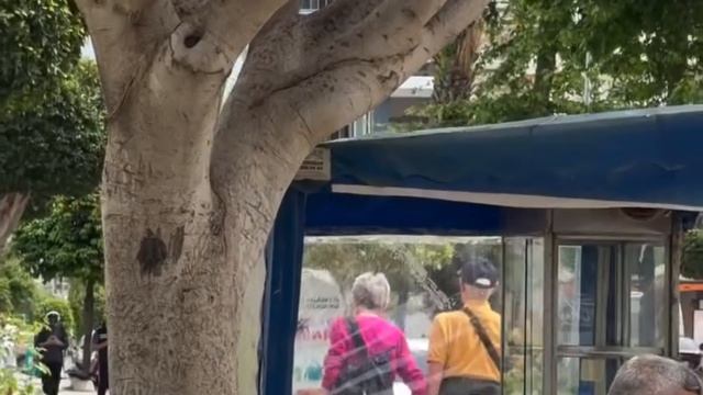 ТУРИСТЫ ЕДУТ. НАЧАЛО СЕЗОНА В ТУРЦИИ. ТУРЦИЯ 2026.