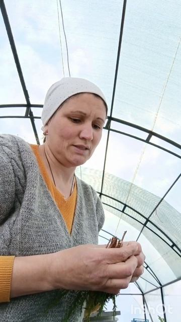 Вести с рабочих полей 