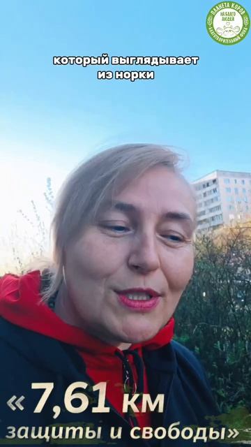 Правда ли что на пастбища вернулись жаворонки карбыши и жучки? Как это можно проверить?