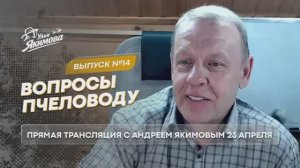 Вопросы пчеловоду. Прямой эфир от 23 апреля. Выпуск №14