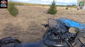 Подготовка к охоте на тетерева 2026