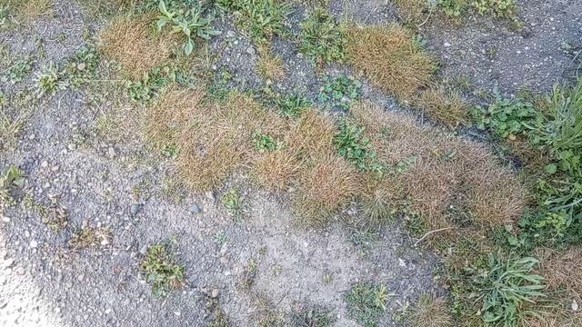 Гренки с утра! Новая мочалка! Колокольчики🔔🔔🔔 План работ! Юг России🌴. 28.04.26г.