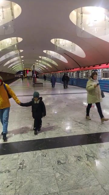 Станция метро поезд пассажир интерьер Москва Борисово 3