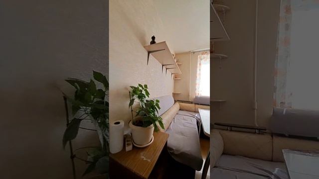 14600317372949 смотреть онлайн