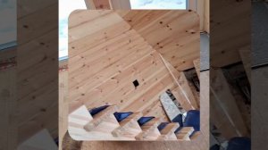 1000057205.mp4 (Собака наблюдает за устройством лестницы на 2-ой этаж в доме А-фрейм)