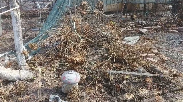 Мы, на даче. Работа идет полным ходом