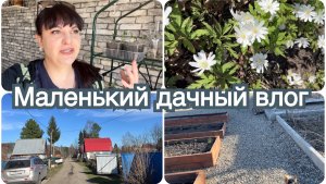 Маленький дачный влог