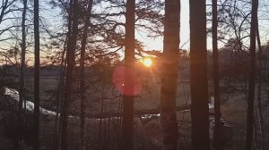 КОРОЛЕВСКАЯ ОХОТА И РЫБАЛКА