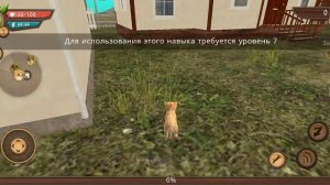 впервые скачала и зашла в CatSim!