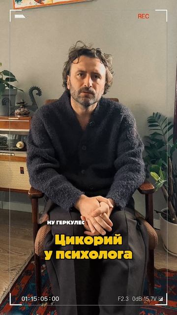 Цикории у психолога