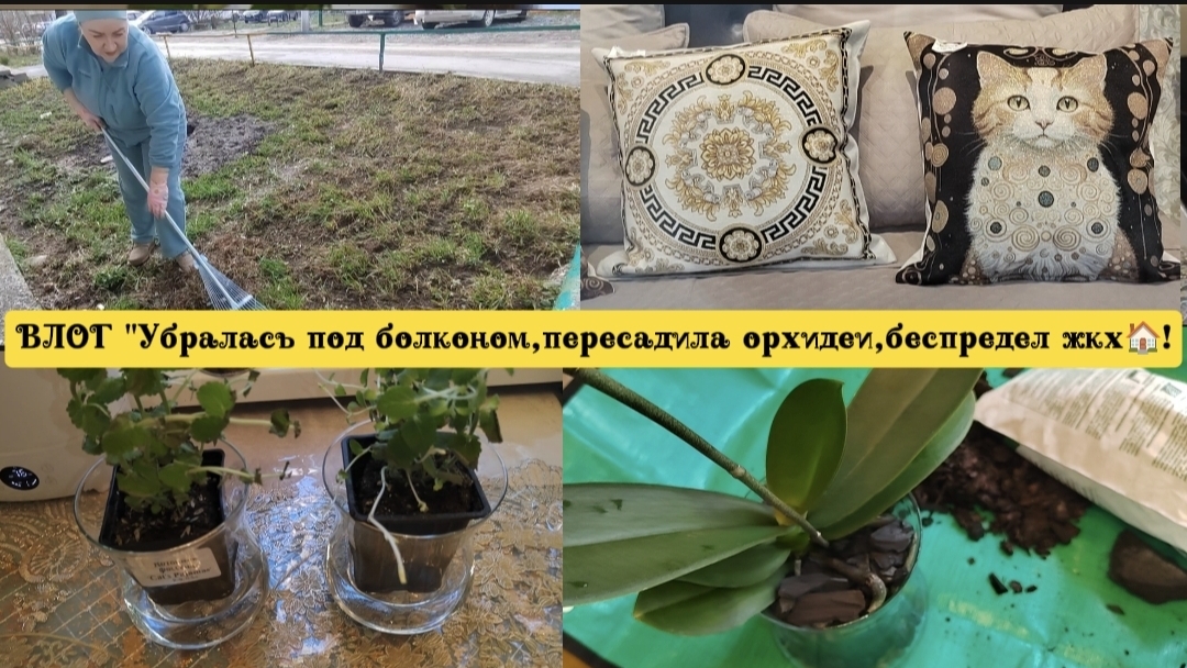 ВЛОГ "Прибралась под болконом,пересадила орхидею,беспредел ЖКХ🏠!)😊